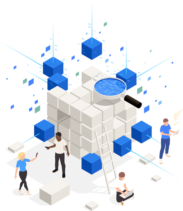 Equipe trabalhando com banco de dados e análise de dados